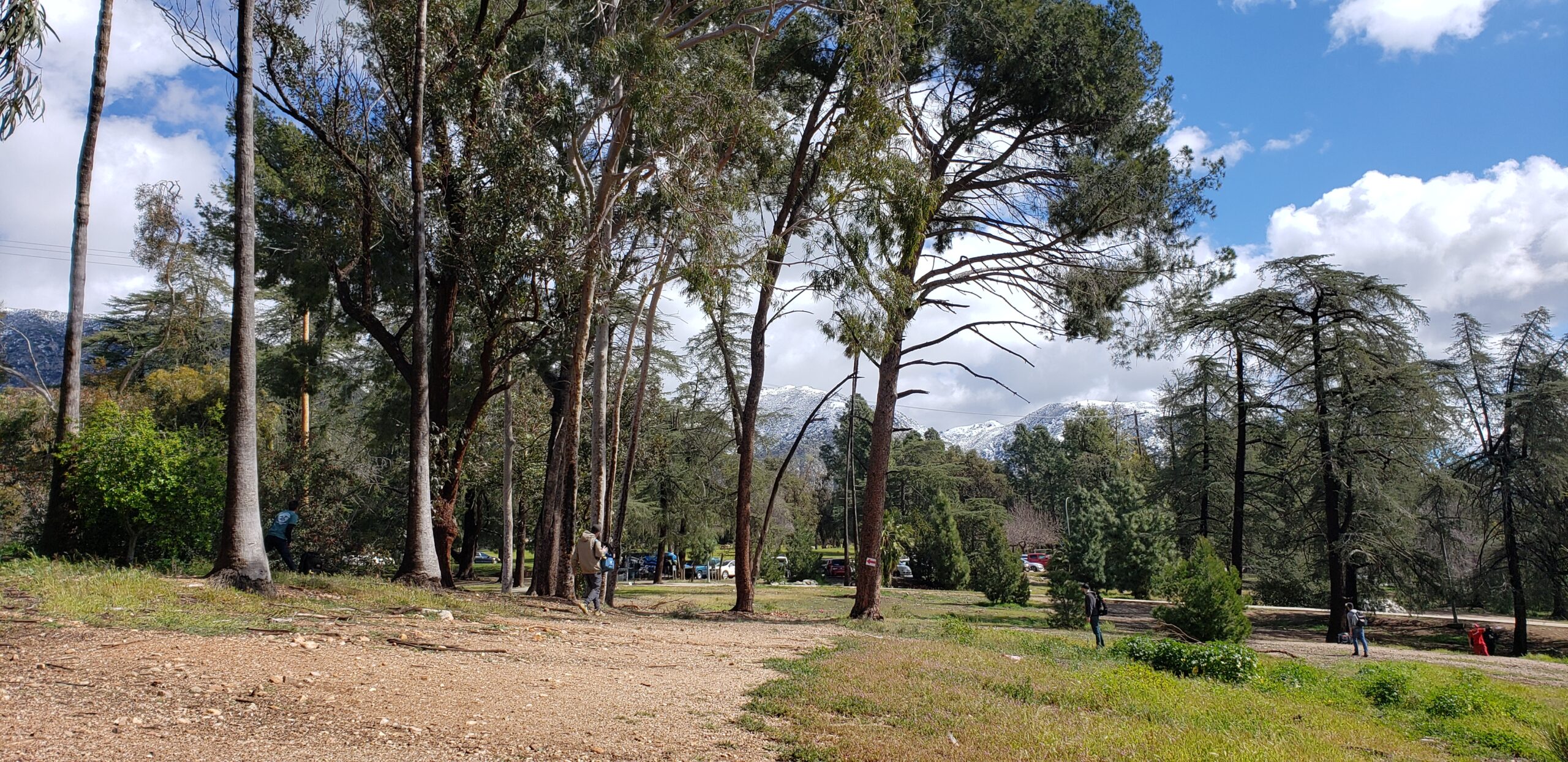 Famous Sylmar Disc Golf