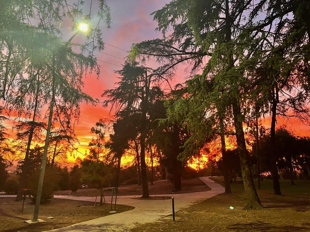 Sylmar Disc Golf - Veterans Memorial Park Los Angeles